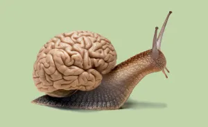 I Merge Two Non-Related Objects Into One