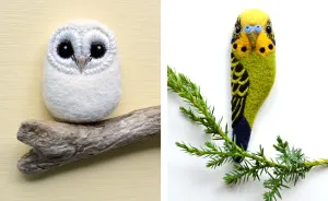 I Needle-Felt Different Species Of Birds Inspired By Nature