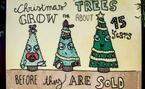 I Illustrated Christmas Facts To Create Original Christmas Cards
