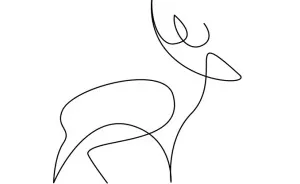 Minimalist One Line Animals By A French Artist Duo