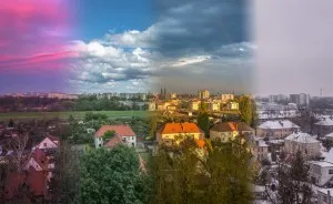I Spent One Year Making Pictures From The Kitchen Window