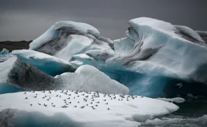 In The Land Of Fire And Ice