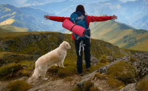 I Travel Romania With My Golden Retriever Geena Who Is The Best Travel Companion