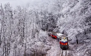 I Spent A Whole Day In The Frozen Woods To Capture This Magnificent Winter View Of The Nearby Hills
