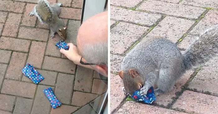 This Dad Wrapped Tiny Christmas Presents For Squirrels, And The Internet Can't Handle It