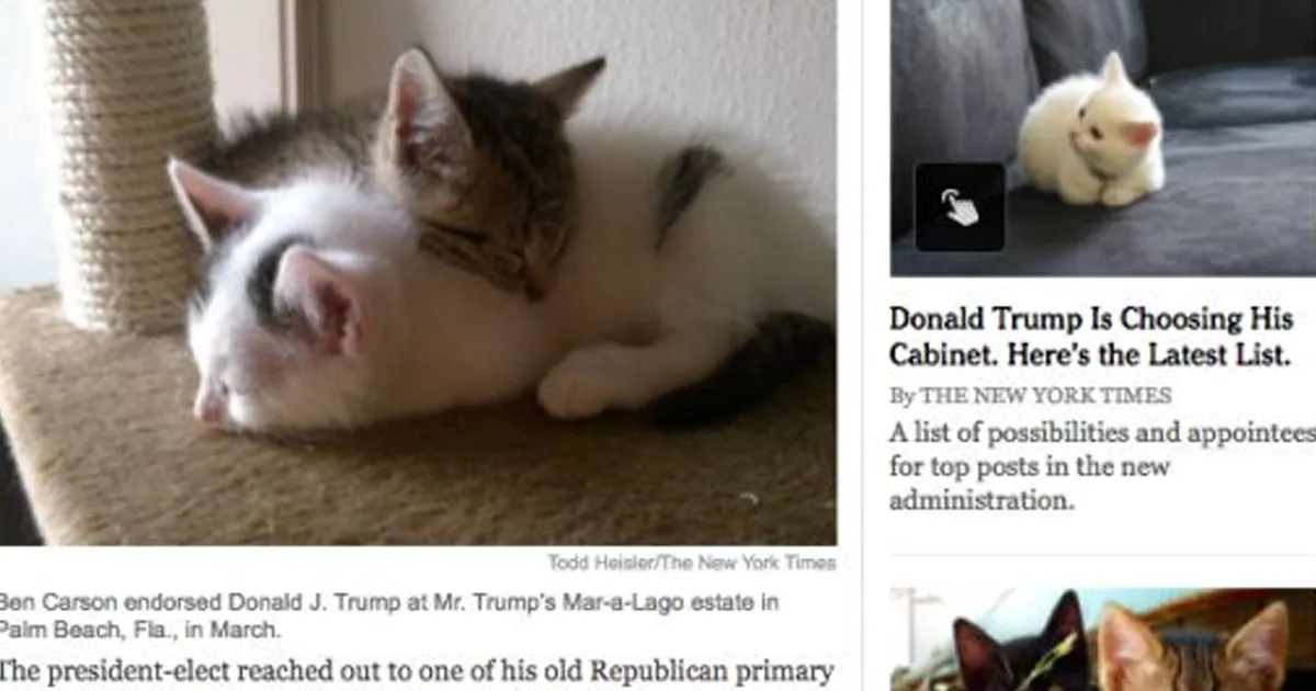 Esta nueva extensión de Google Chrome cambia todas las imágenes de Donald Trump por gatitos
