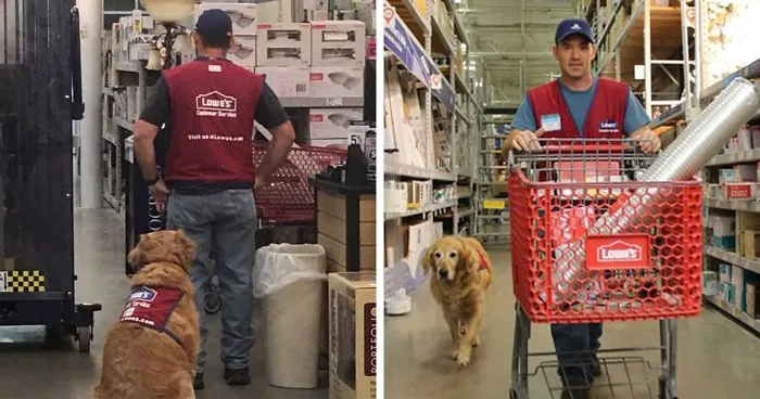 A Veteran Who Needs A Service Dog Was Struggling To Find A Job, Until This Store Employed Them Both