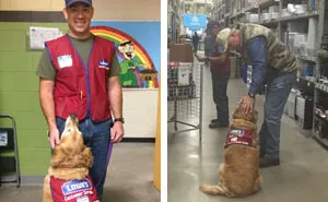 A Veteran Who Needs A Service Dog Was Struggling To Find A Job, Until This Store Employed Them Both