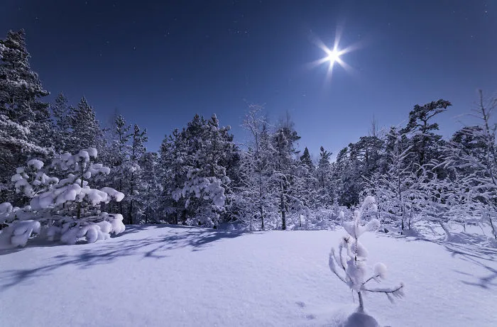 Starry Finnish Nights That I Have Captured During 2016