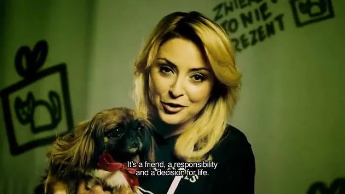 10 Touching And Beautiful Movies In Social Campaign A Pet Is Not A Gift - 10 Fairy-Tales Too Scary For Adults.