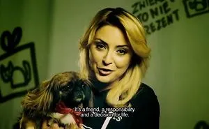 10 Touching And Beautiful Movies In Social Campaign A Pet Is Not A Gift - 10 Fairy-Tales Too Scary For Adults.