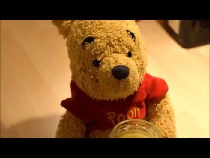 A Cute Video With... A Teddy Bear Stealing Honey