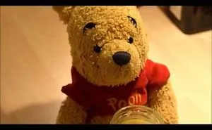 A Cute Video With... A Teddy Bear Stealing Honey