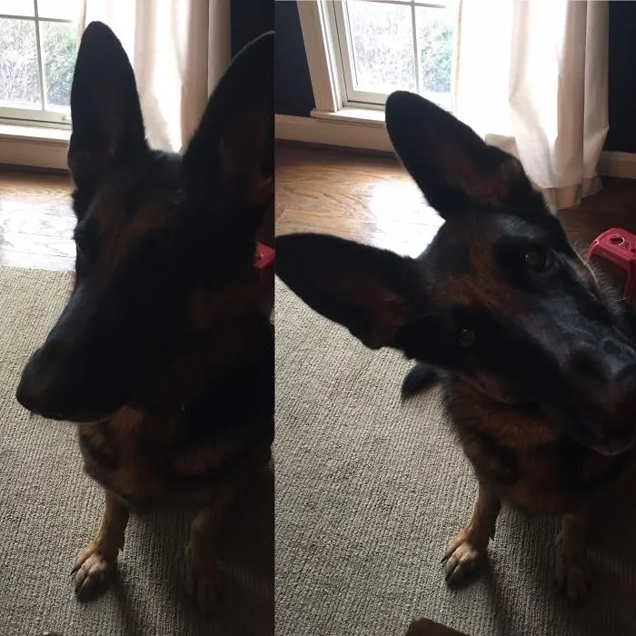 Who, Me?