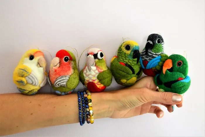 Lovebirds, Conures, Eclectus, Amazon Parrot