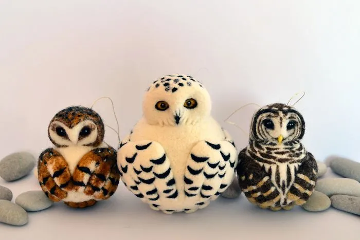 Some Wise Owls