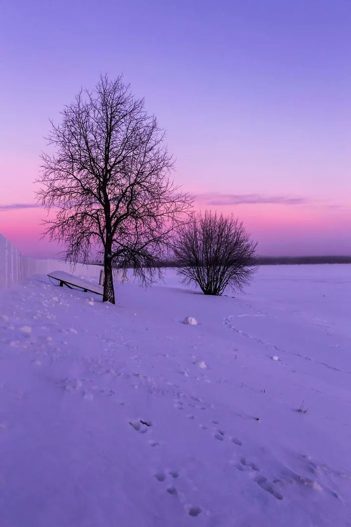 104 Reasons Why Lapland Is The Most Magical Place To Celebrate Christmas