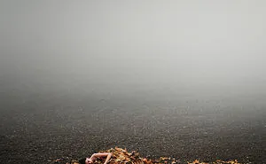 When I Stopped Using Photoshop Manipulation, I Found The Beauty Of Fine Art Photography