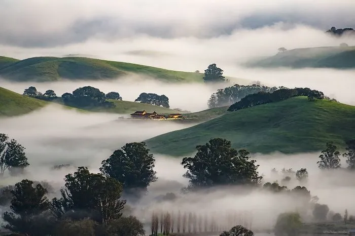 Fog Waves Are The Most Beautiful Thing I Captured After 8 Years Of Experimenting