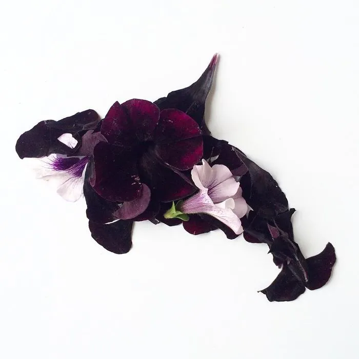 This Artist Turns Flowers Into Paintings