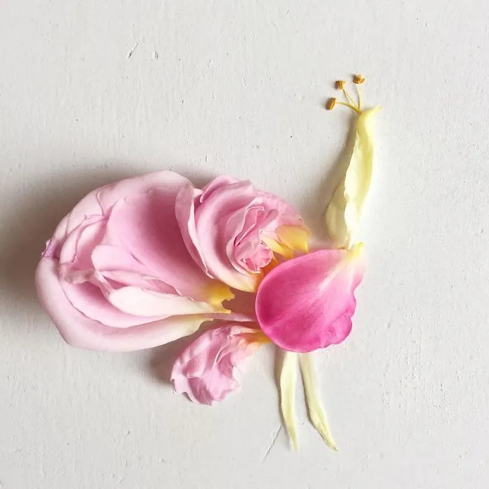 This Artist Turns Flowers Into Paintings