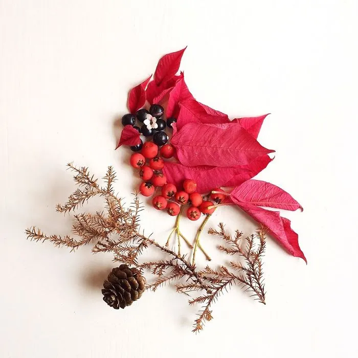 This Artist Turns Flowers Into Paintings