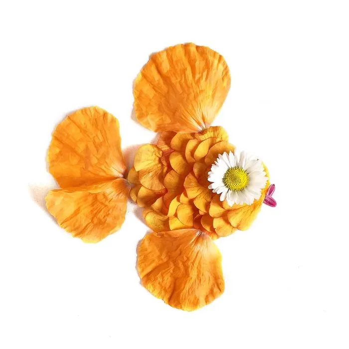 This Artist Turns Flowers Into Paintings