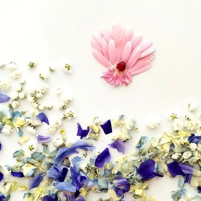 This Artist Turns Flowers Into Paintings
