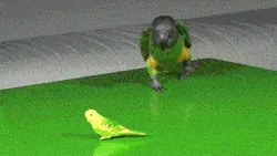 Just Have A Look And Make Your Day (2) !!!