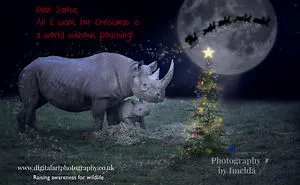 All I Want For Christmas...