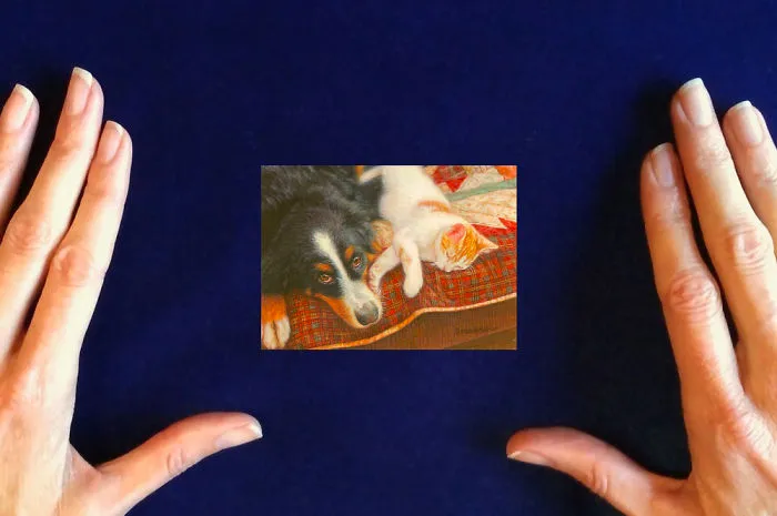 I Immortalize Pets As Exquisite Miniature Paintings