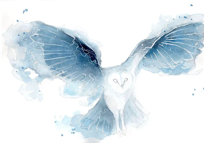 Galaxy Owl