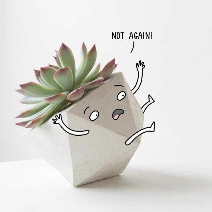 I Promote My Favourite Makers On Instagram By Bringing Their Photos To Life