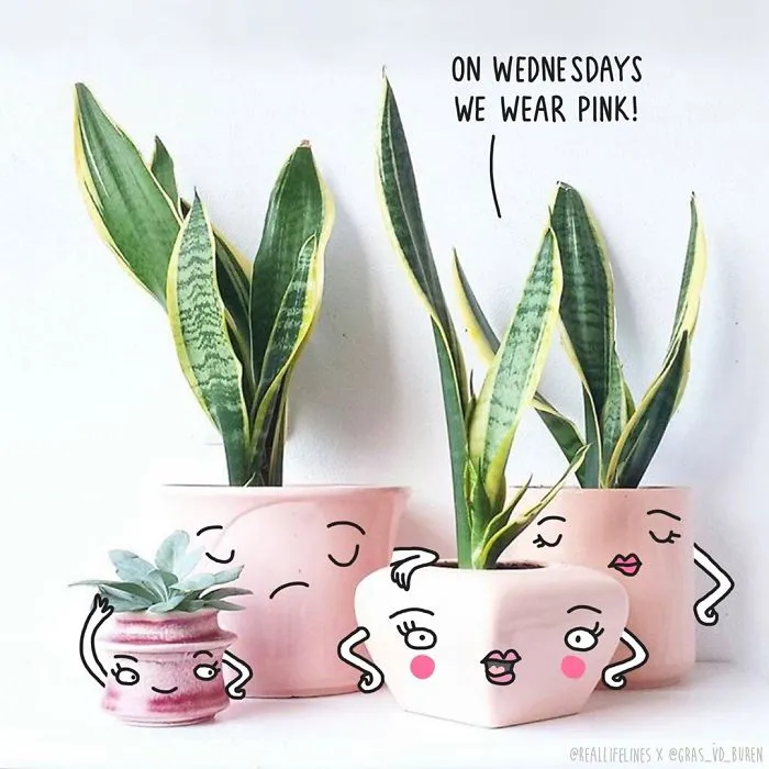 I Promote My Favourite Makers On Instagram By Bringing Their Photos To Life
