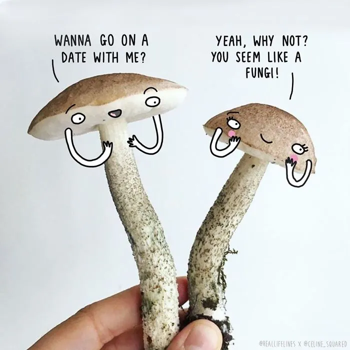 I Promote My Favourite Makers On Instagram By Bringing Their Photos To Life