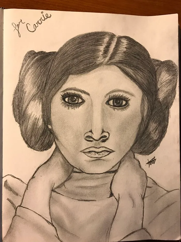 290 Touching Tributes To Late Carrie Fisher By Artists Around The World