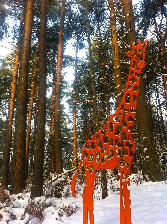 Sculptures In The Snow At The Sculpture Park In Surrey