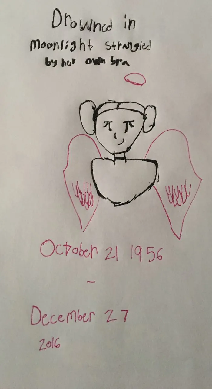 290 Touching Tributes To Late Carrie Fisher By Artists Around The World