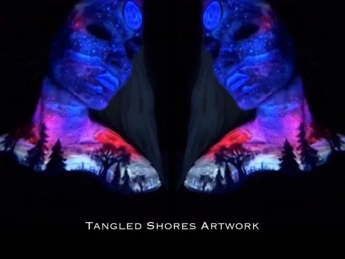 My 100 Days Of Face Paintings
