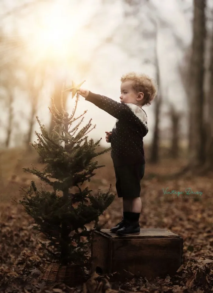 The Magic Of Winter
