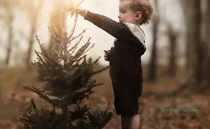 The Magic Of Winter