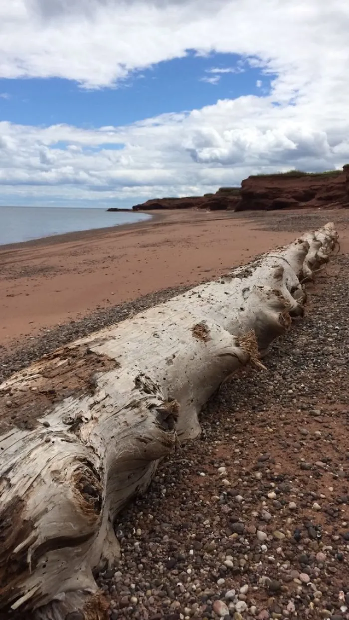 I Went To P.e.i And The Campground I Was At Was Beautiful!