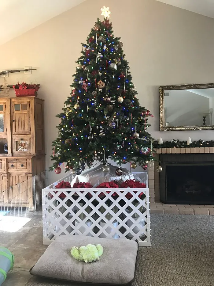 Navidad Con Dos Shorkies