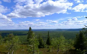 The Silence Of Lapland - Lappish Spring Captured With An Old, Compact Camera
