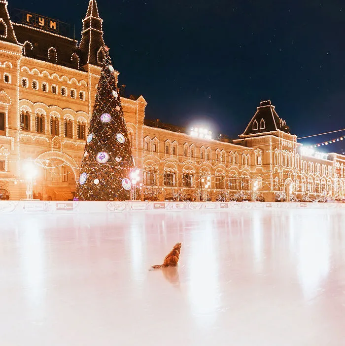 Moscow Looks Like A Fairytale During Winter, So I Tried To Capture Its Beauty