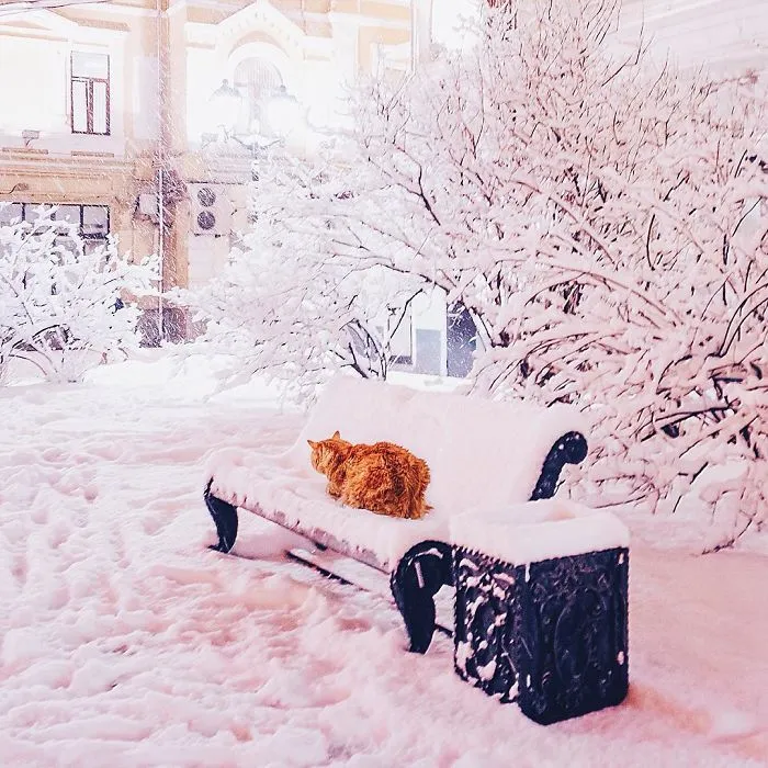 Moscow Looks Like A Fairytale During Winter, So I Tried To Capture Its Beauty