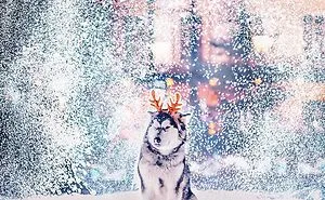 Moscow Looks Like A Fairytale During Winter, So I Tried To Capture Its Beauty