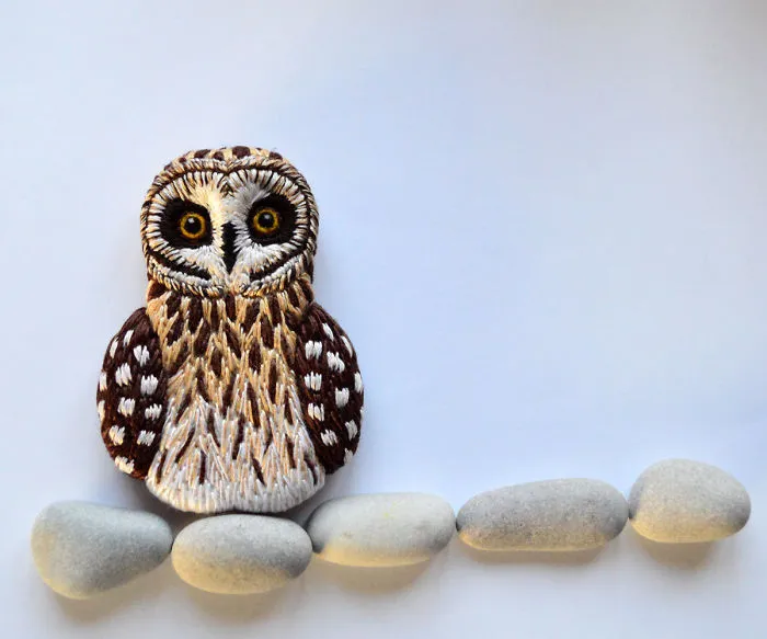 Short Eared Owl