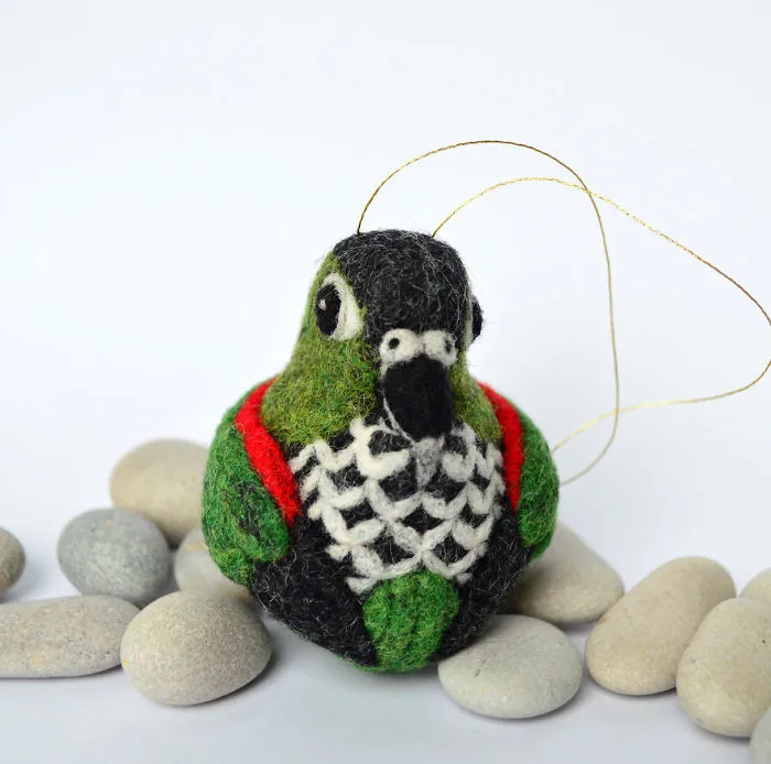 Black-cap Conure