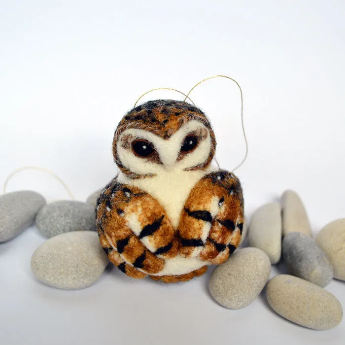 Barn Owl
